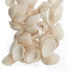 Bag of Small Clam Shells Cheap