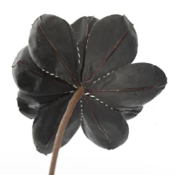 Black Magnolia Flower Stem with Twine Trim Cheap