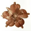 Brown Velvet Magnolia Flower Clip Cheap