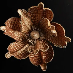 Brown Velvet Magnolia Flower Clip Cheap