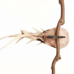 Champagne Pink Bird Clip Best