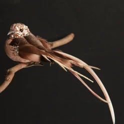 Champagne Pink Bird Clip Best