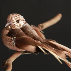 Champagne Pink Bird Clip Best