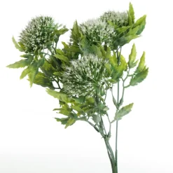 Cream Gumnut Flower Christmas Bush Spray Cheap