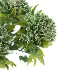 Cream Gumnut Flower Christmas Bush Spray Cheap