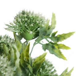 Cream Gumnut Flower Christmas Bush Spray Cheap