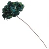 Dark Green Hydrangea Flower Stem Fashion