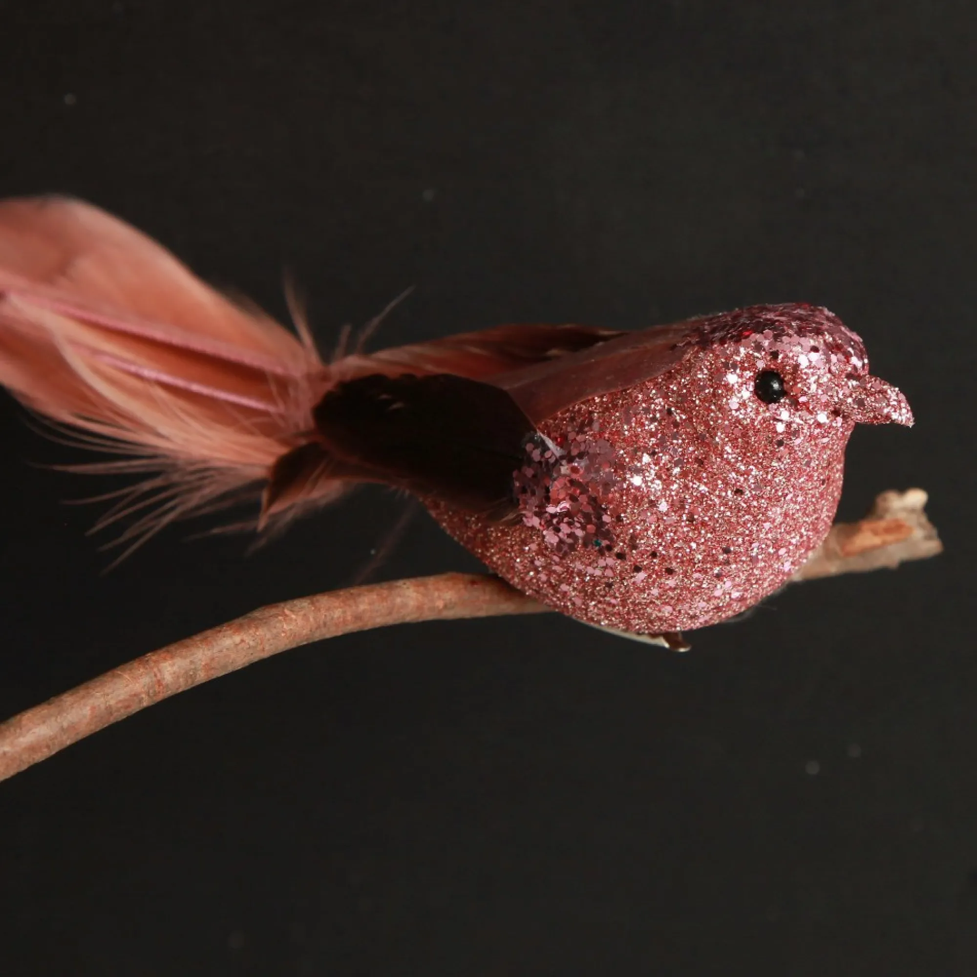 Dark Pink Bird Clip Online
