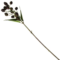 Eucalyptus Brown Gumnut Branch Spray Shop