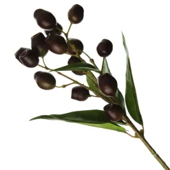 Eucalyptus Brown Gumnut Branch Spray Shop