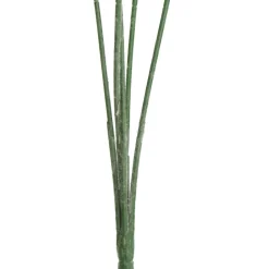 Eucalyptus Bush Spray Clearance