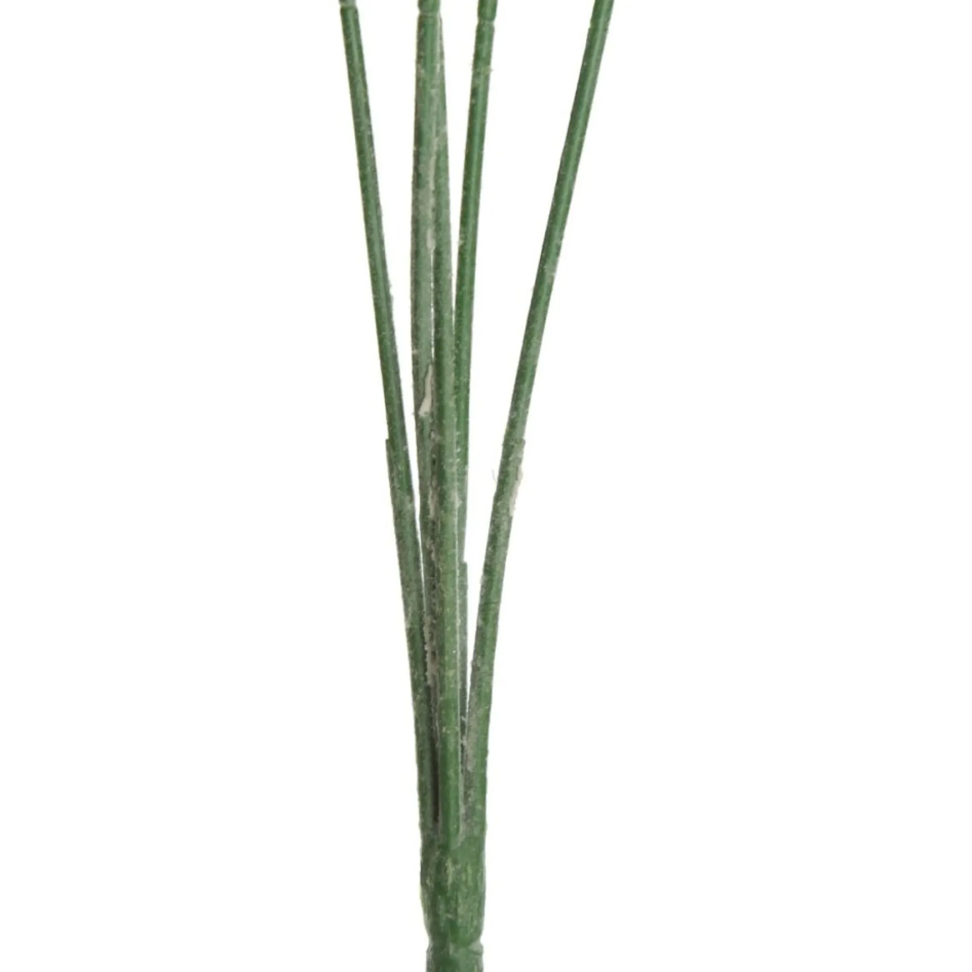 Eucalyptus Bush Spray Clearance