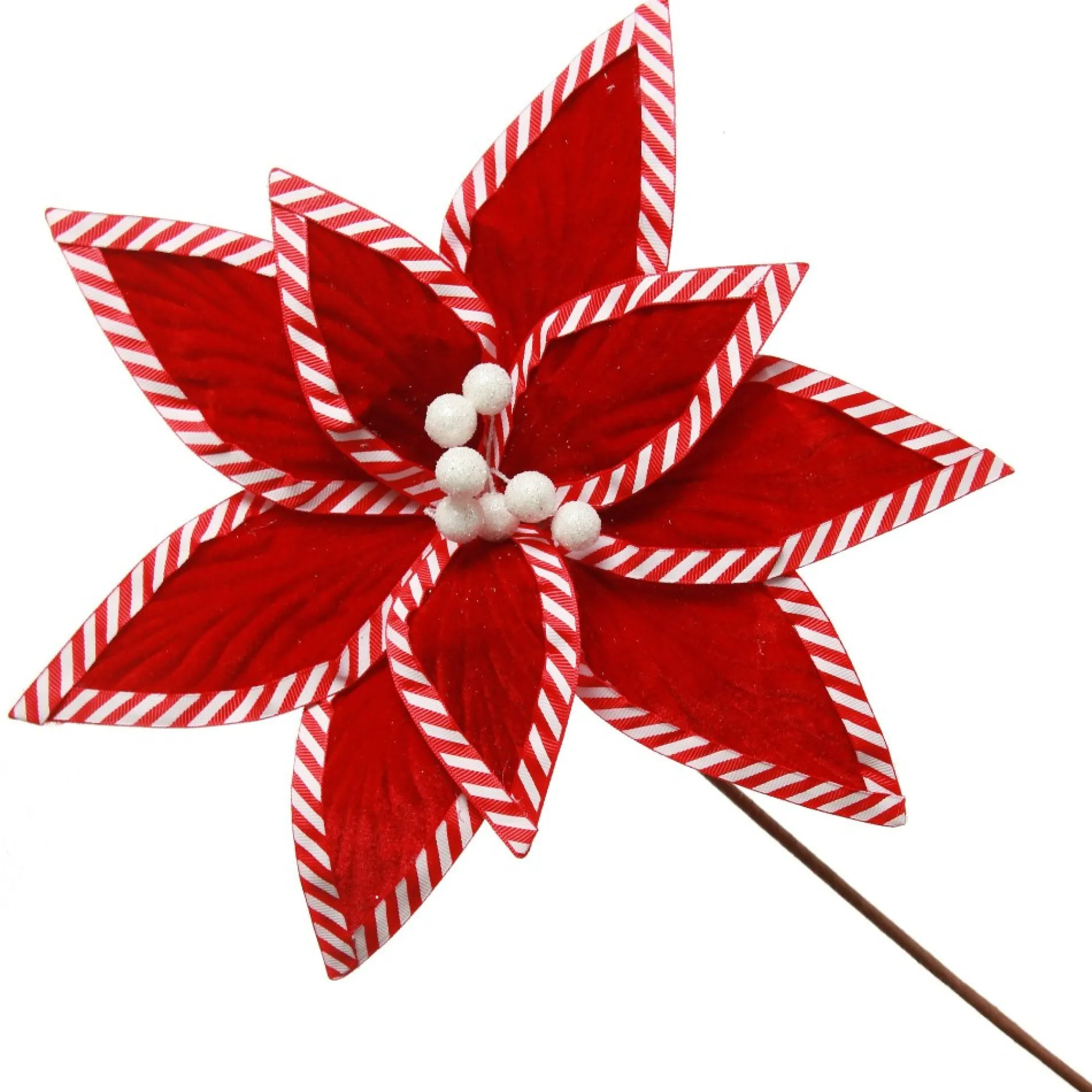 Festive Red Flower Stem with Striped Edge Online