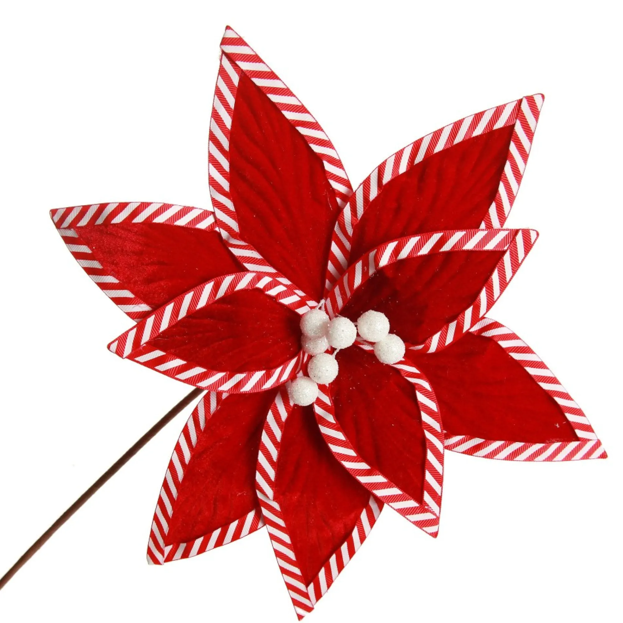 Festive Red Flower Stem with Striped Edge Online