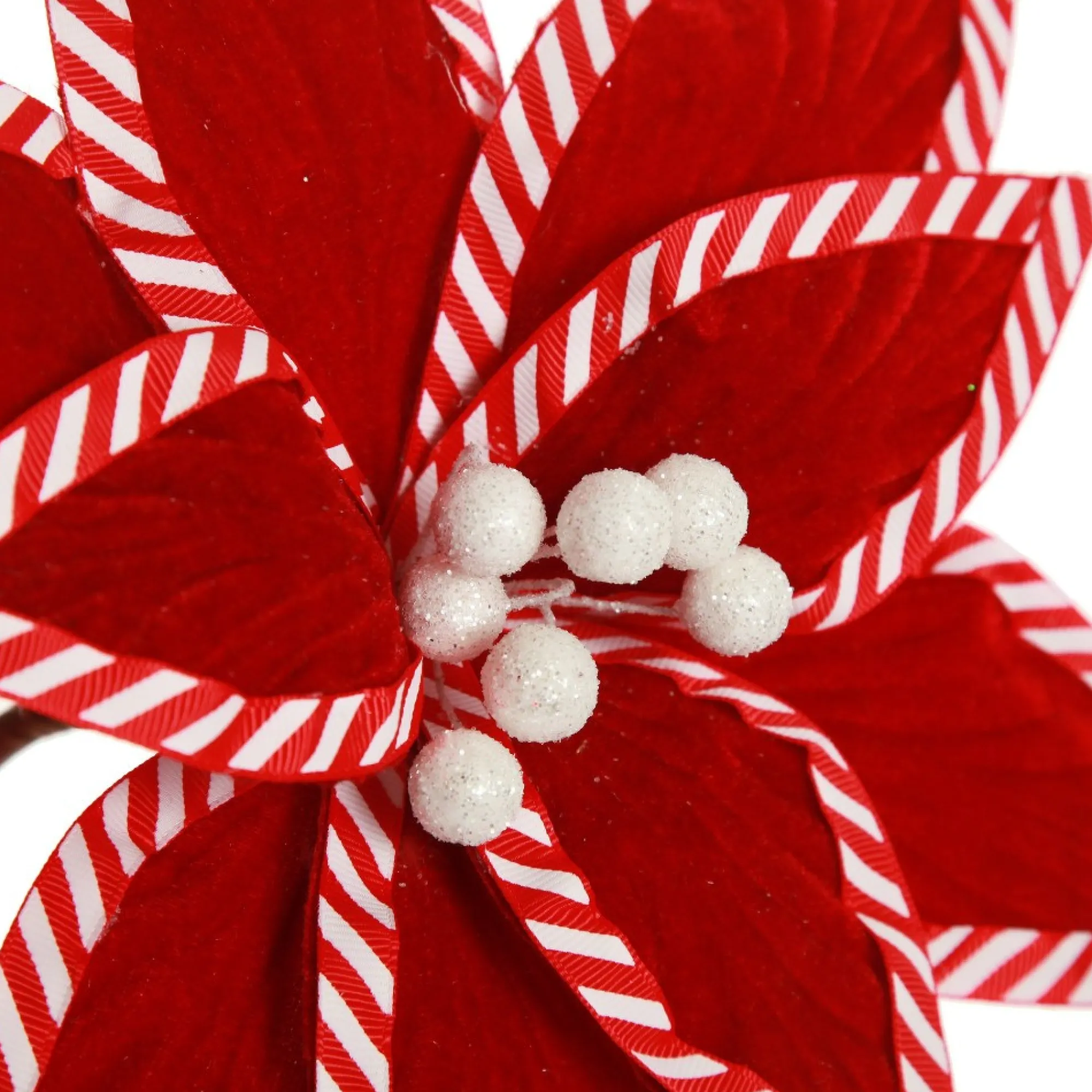 Festive Red Flower Stem with Striped Edge Online