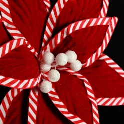 Festive Red Flower Stem with Striped Edge Online