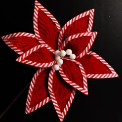 Festive Red Flower Stem with Striped Edge Online