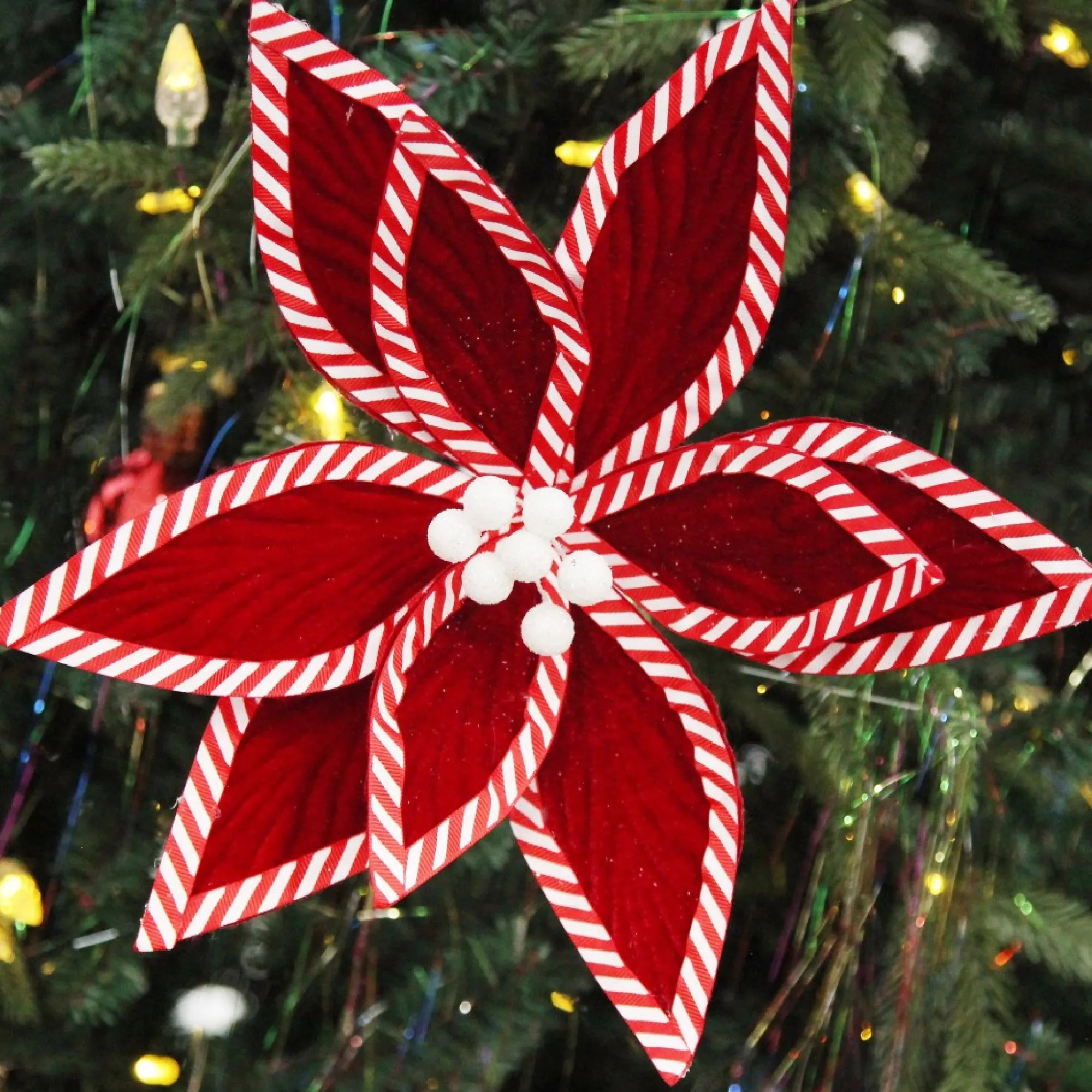 Festive Red Flower Stem with Striped Edge Online