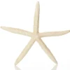 Finger Starfish White Fashion