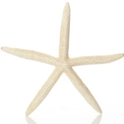 Finger Starfish White Fashion