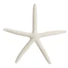 Finger Starfish White Small Online