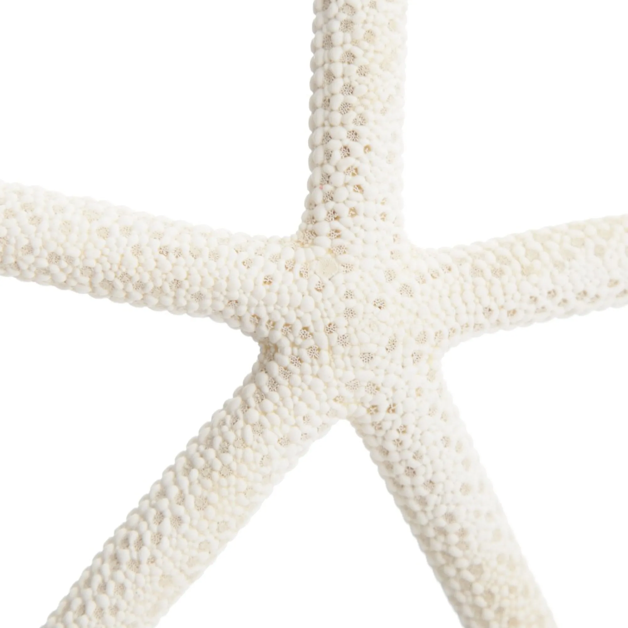 Finger Starfish White Small Online