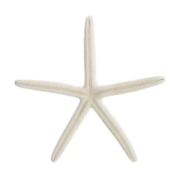 Finger Starfish White Small Online