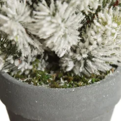 Flocked Pine Table Top Christmas Tree Cheap