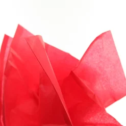 Floral Merry Christmas and Red Tissue Paper Wrap 10 Pack Store