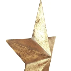 Gold Metal Star Store