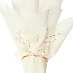 Gold Star Star Napkin Rings - Pack of 4 Best