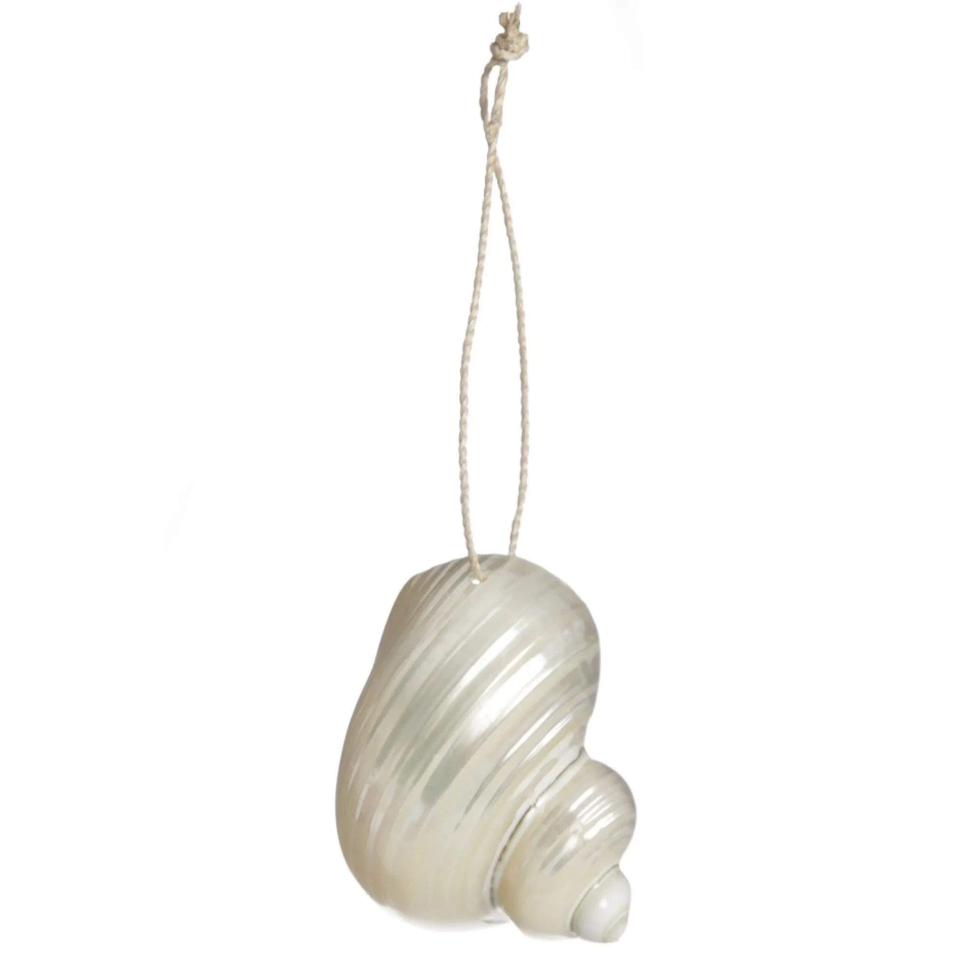 Hanging Silvermouth Shell Tree Decoration Clearance