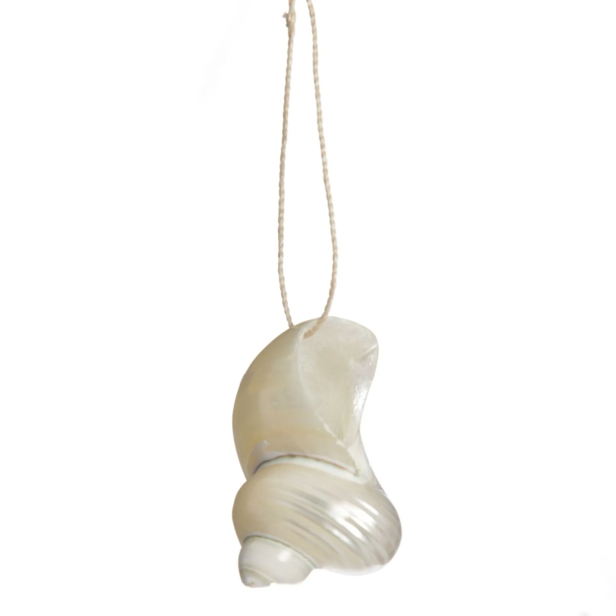 Hanging Silvermouth Shell Tree Decoration Clearance