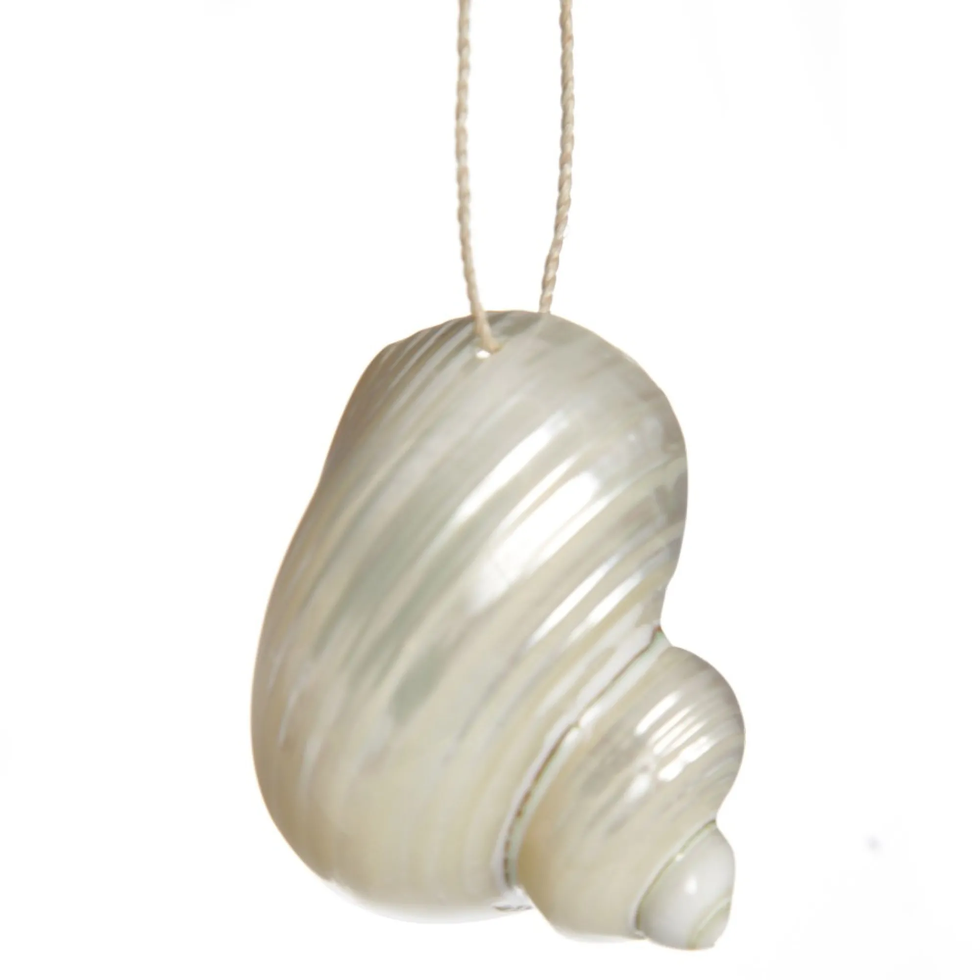 Hanging Silvermouth Shell Tree Decoration Clearance