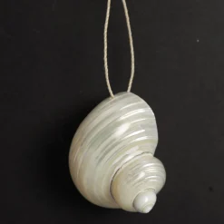 Hanging Silvermouth Shell Tree Decoration Clearance