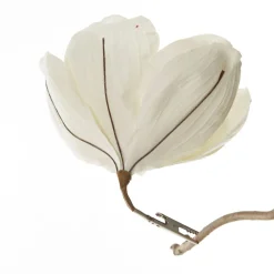 Ivory Glitter Sprinkled Magnolia Flower Clip Store