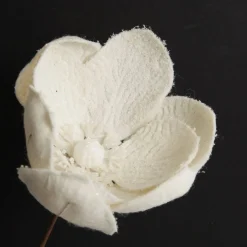 Ivory Magnolia Flower Stem Sale