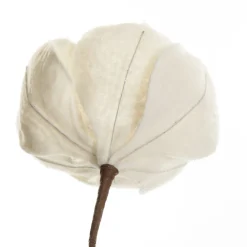 Ivory Magnolia Flower Stem Sale