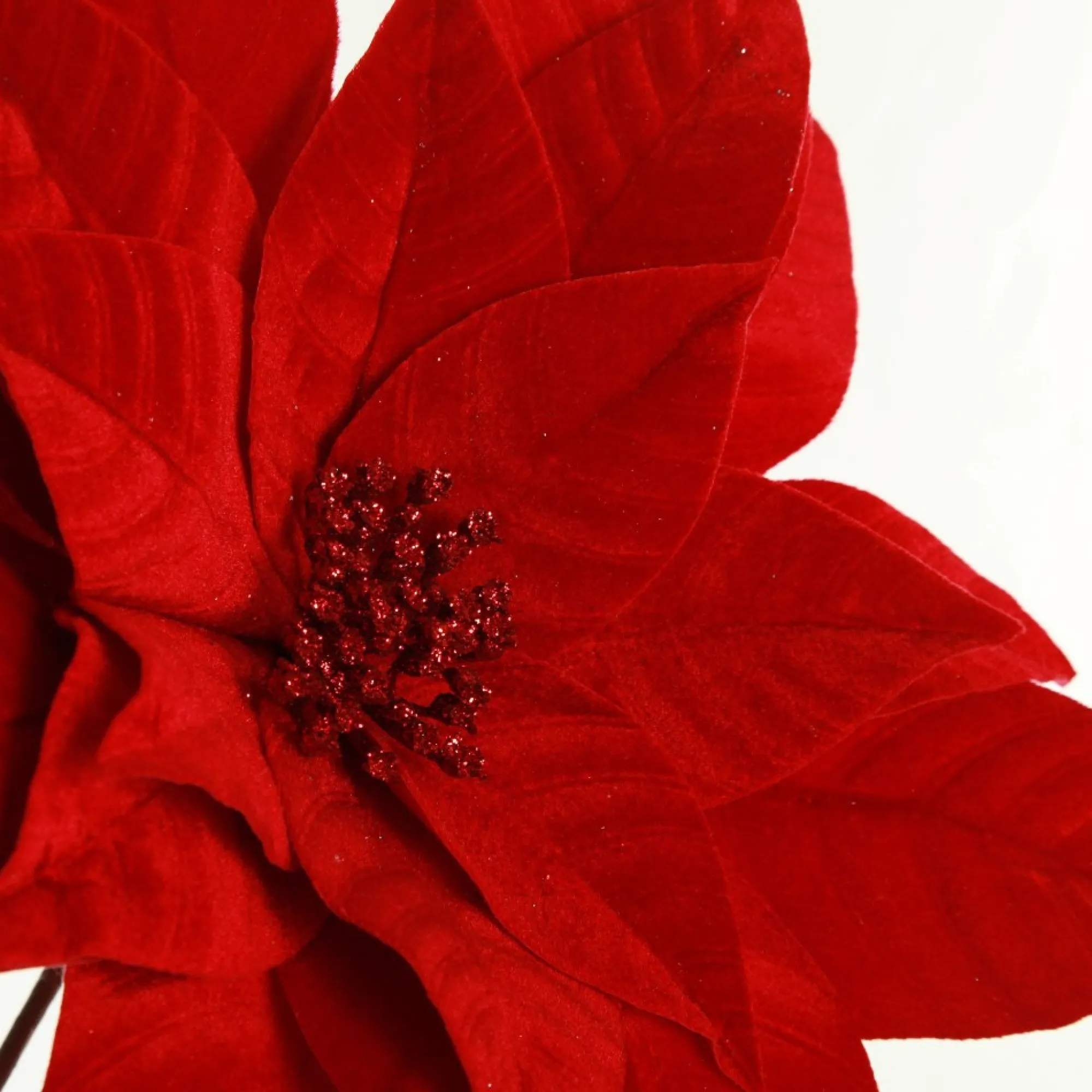 Layered Red Velvet Poinsettia Flower Stem Hot