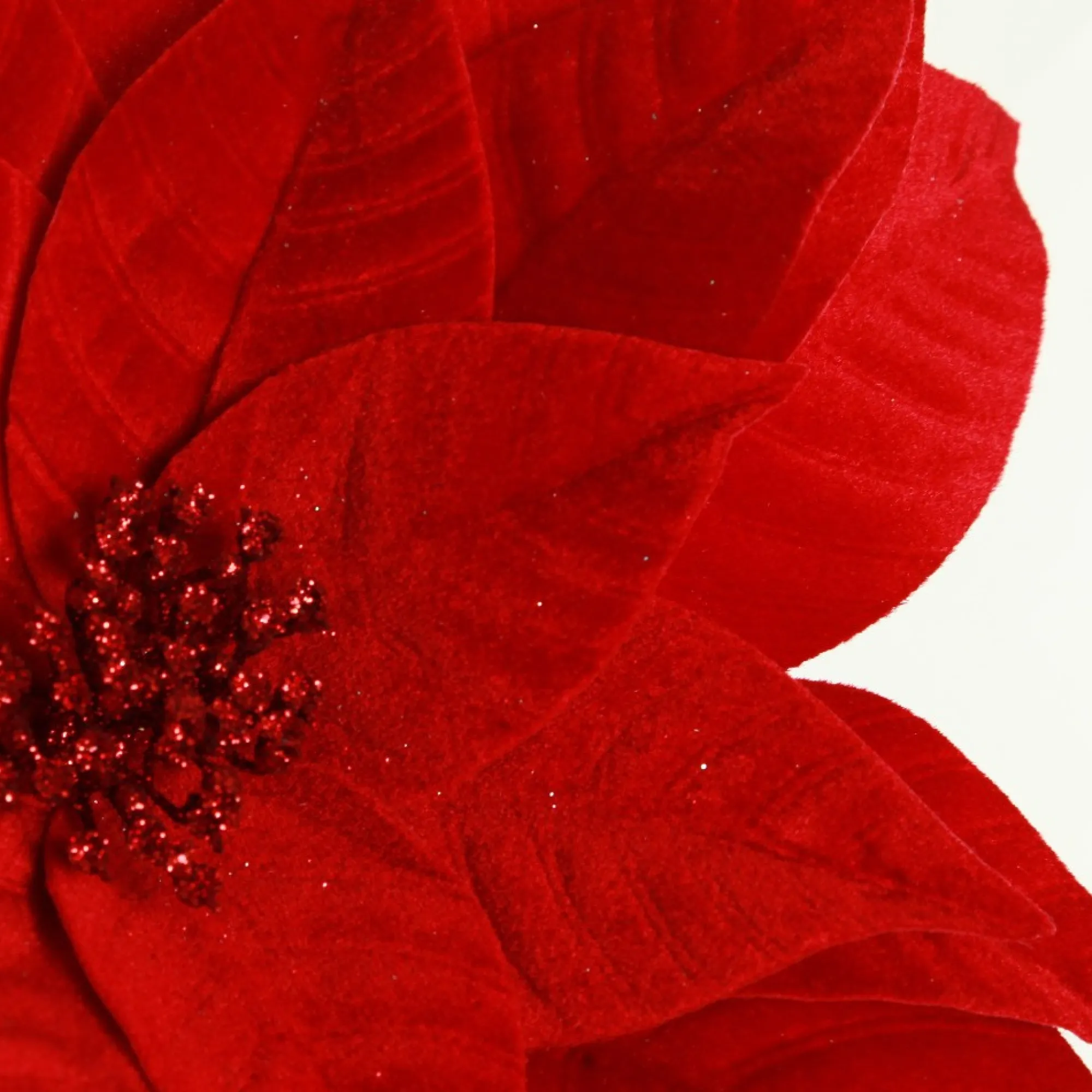 Layered Red Velvet Poinsettia Flower Stem Hot
