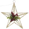 Lightup Champagne Tinsel Wire 3D Star Tree Topper with Cone and Berry Fashion