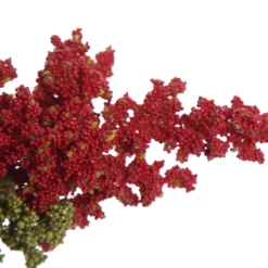 Mini Berry Native Bush Christmas Red Berry Spray Hot