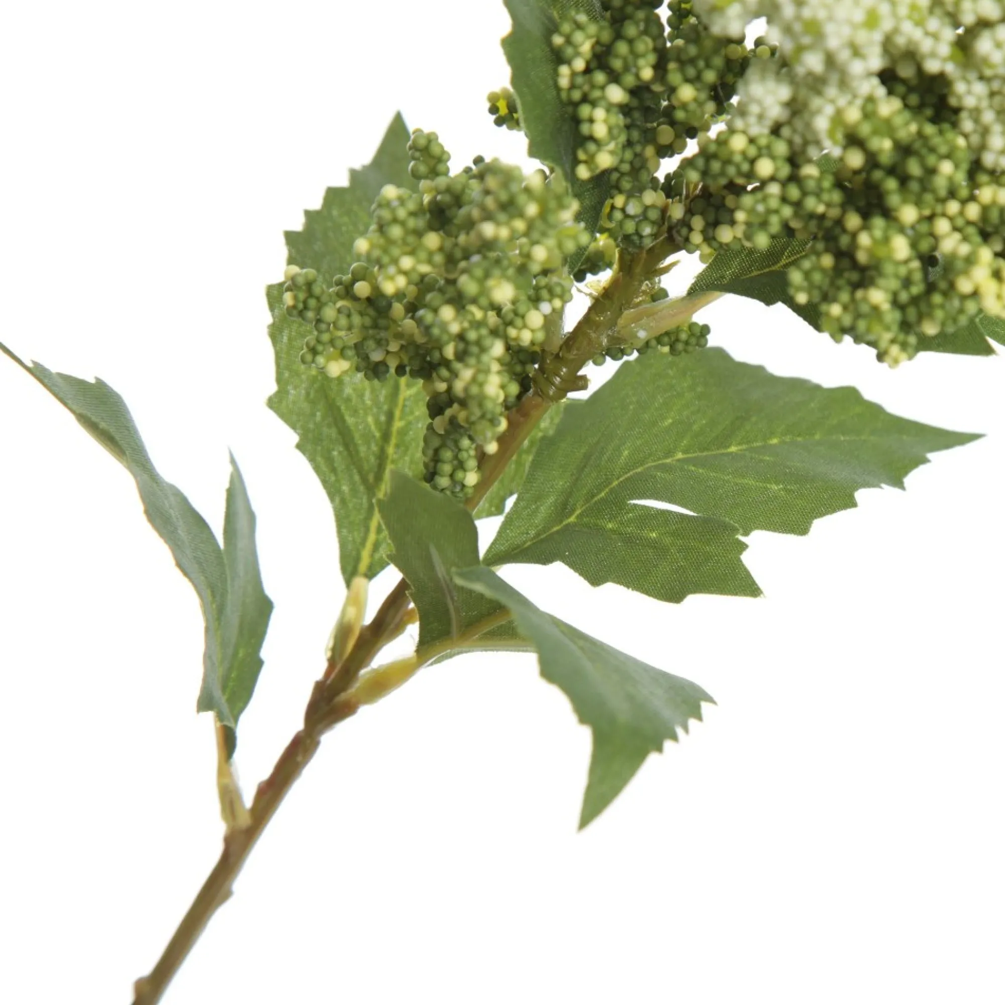 Mini Berry Native Bush Christmas White Berry Spray New