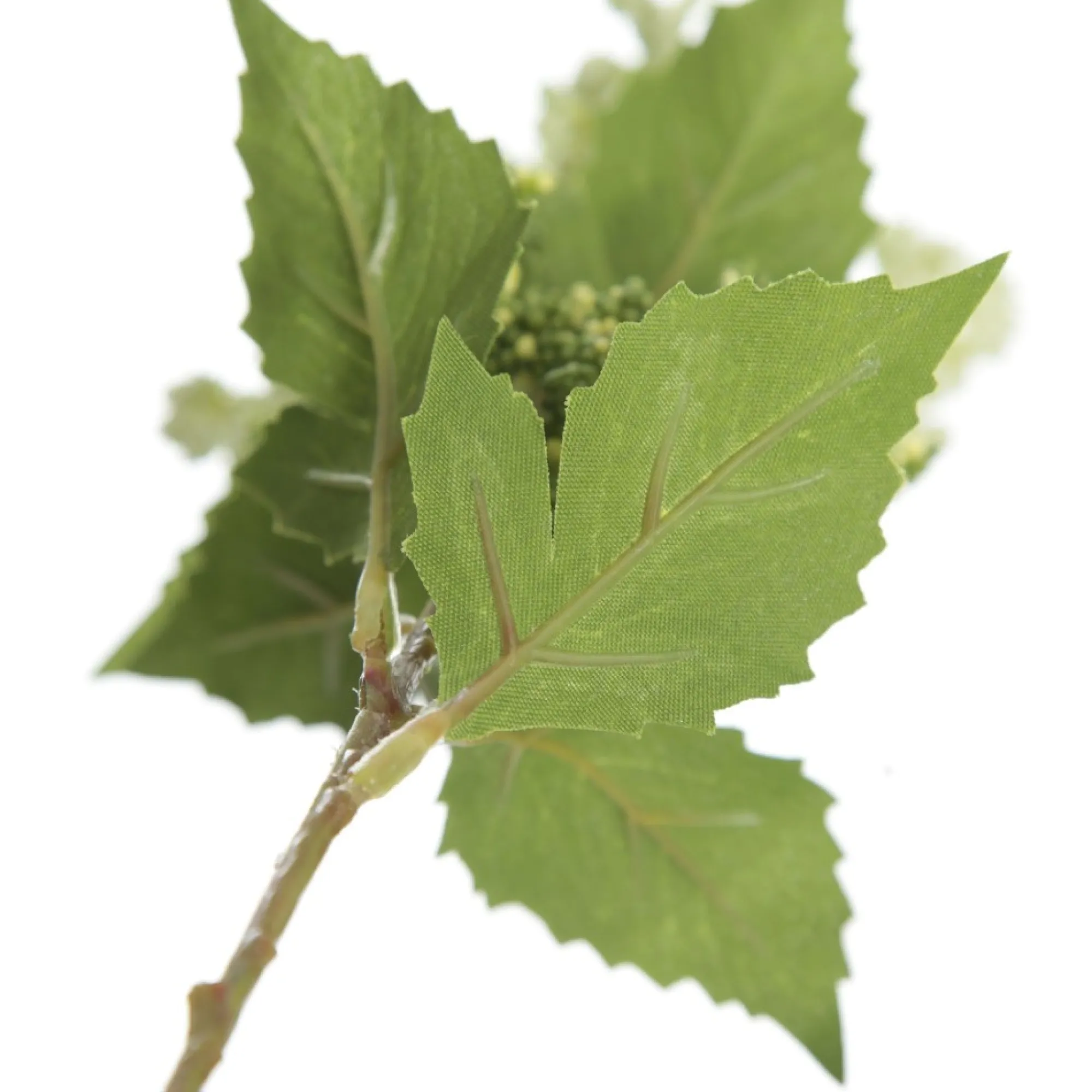 Mini Berry Native Bush Christmas White Berry Spray New