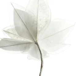 Mixed Petal White Poinsettia Flower Stem Discount