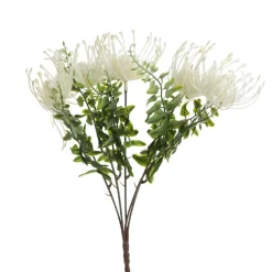 Native Cream Pincushion Protea Flower Spray Shop