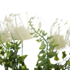 Native Cream Pincushion Protea Flower Spray Shop