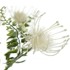 Native Cream Pincushion Protea Flower Spray Shop