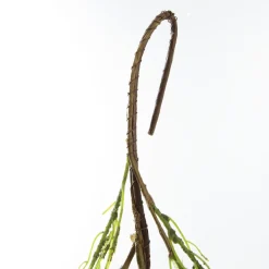 Native Eucalyptus Leaf Christmas Garland Online