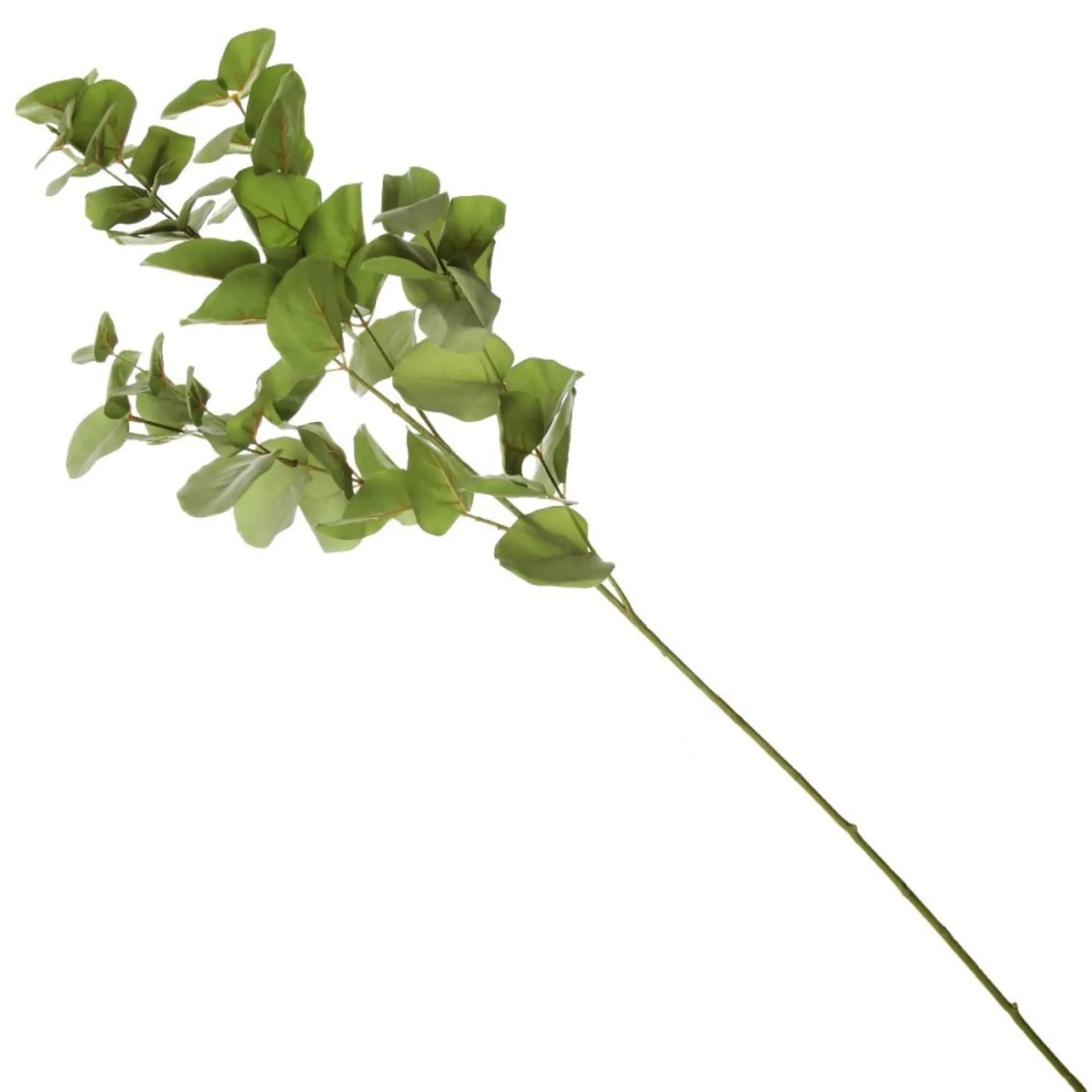 Native Eucalyptus Leaf Spray Flash Sale